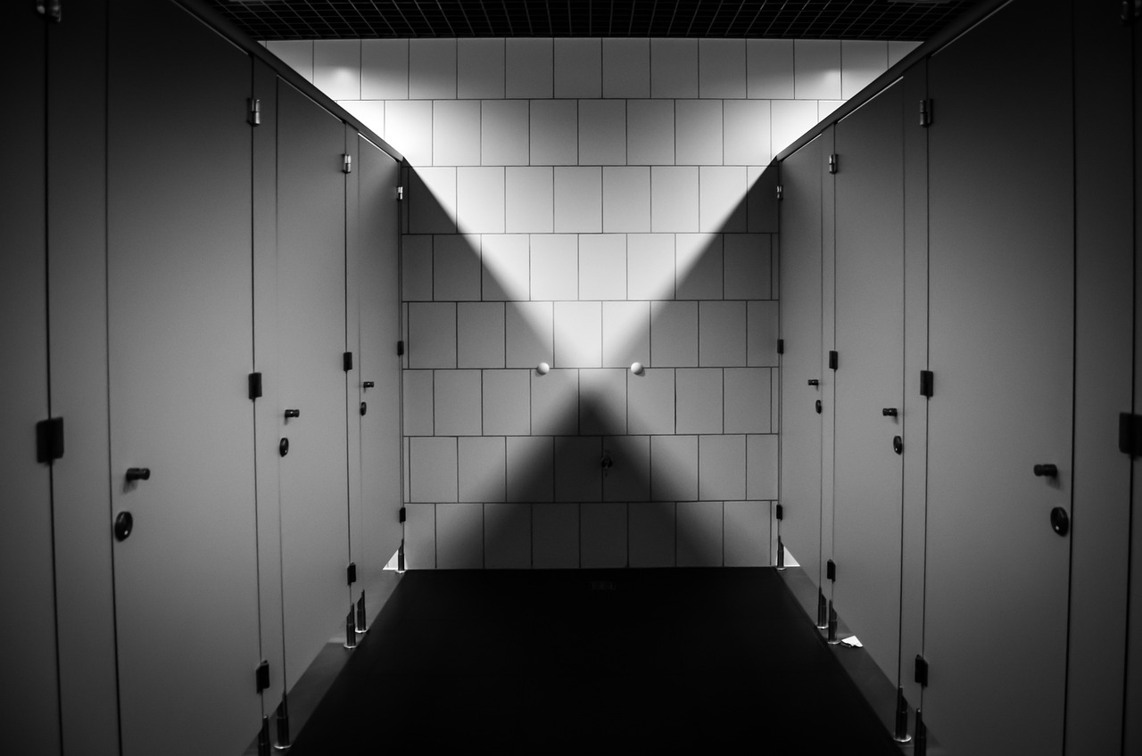 toilets, toilet, purely, public toilet, bathroom, shadow, light, cabins, toilet, toilet, toilet, toilet, toilet, public toilet